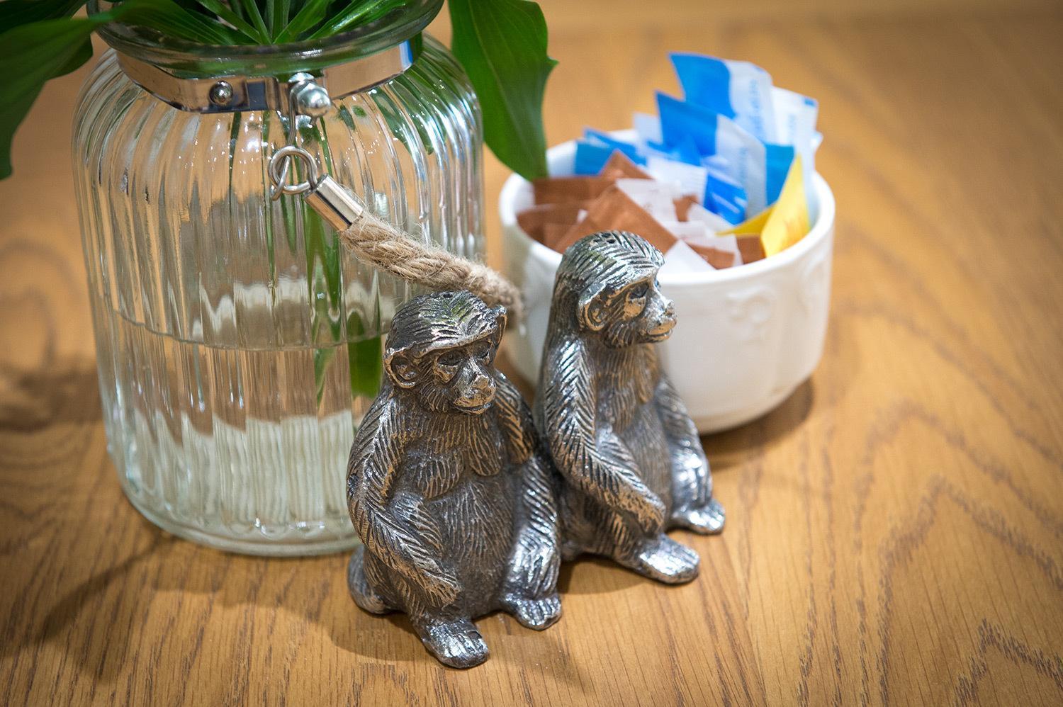Darwin'S Townhouse Bed and Breakfast Shrewsbury Buitenkant foto Silver monkey salt and pepper shakers