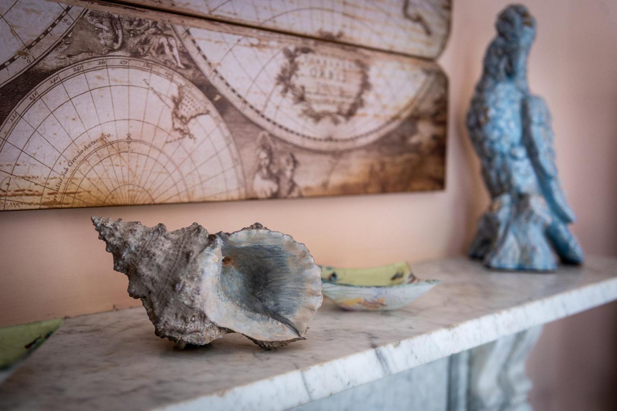 Darwin'S Townhouse Bed and Breakfast Shrewsbury Kamer foto A conch shell